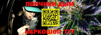 сатива Краснознаменск