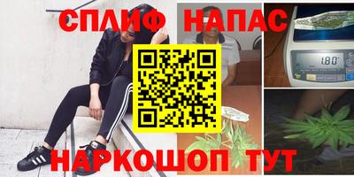 сатива Краснознаменск