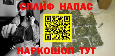 сатива Краснознаменск