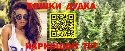 сатива Краснознаменск